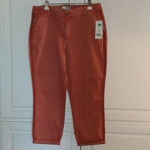 NWT! Women's Size 14 Chino pants